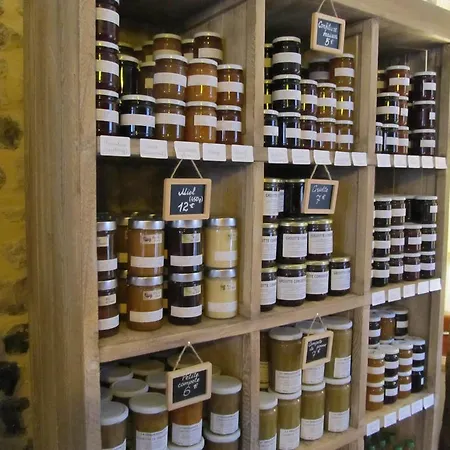 D'hôtes A L'ecole Buissonniere Honfleur