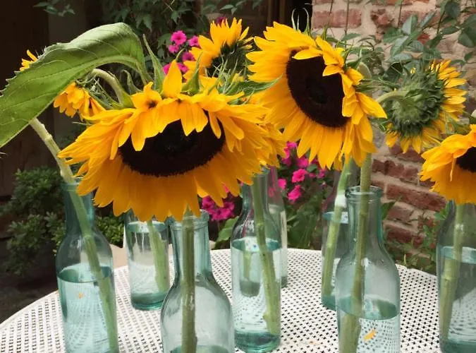 D'hôtes A L'ecole Buissonniere 3* Honfleur